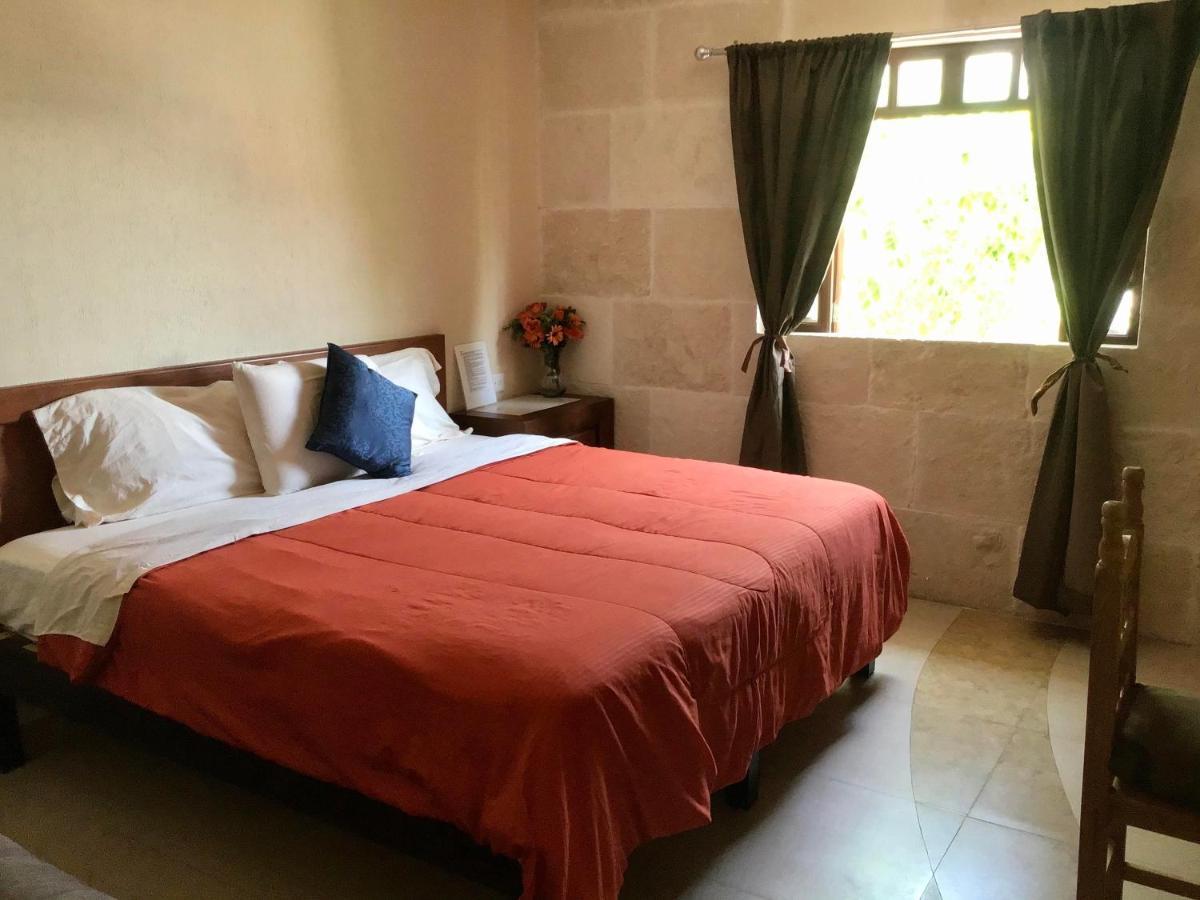 Bed And Breakfast Pecari Cancun Exterior photo