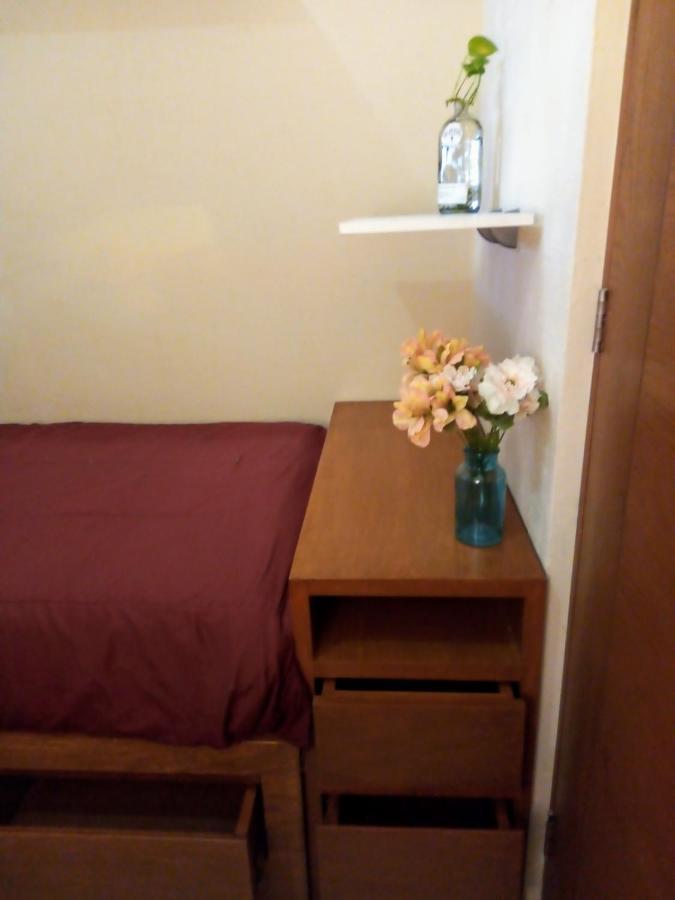 Bed And Breakfast Pecari Cancun Exterior photo