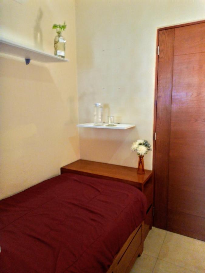 Bed And Breakfast Pecari Cancun Exterior photo