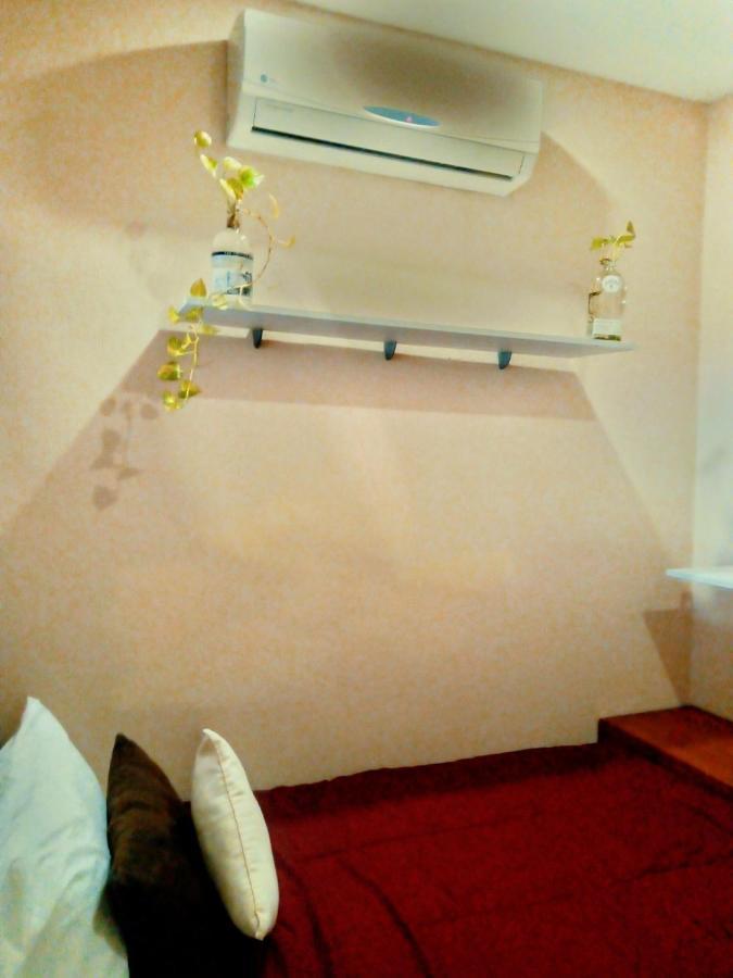 Bed And Breakfast Pecari Cancun Exterior photo