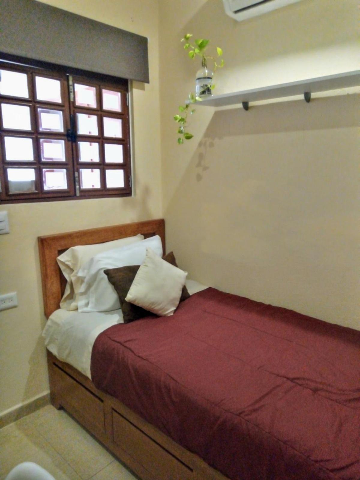 Bed And Breakfast Pecari Cancun Room photo